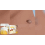 Bienen Gift Creme, sanft hydratisierend 7