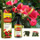 Flüssigdünger-Spray 3-1-2 für Anthurium 8