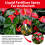 Flüssigdünger-Spray 3-1-2 für Anthurium 4
