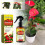 Flüssigdünger-Spray 3-1-2 für Anthurium 2