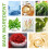 Wormwood Joint Patch for Joints Bones Waist Shoulders Cervical Pain 5