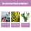 Premium Flüssigdünger-Spray für Phalaenopsis-Orchideen 3