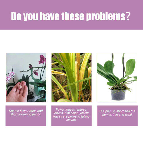 Premium Flüssigdünger-Spray für Phalaenopsis-Orchideen 2
