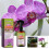 Premium Flüssigdünger-Spray für Phalaenopsis-Orchideen 8