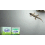 Gecko Repellent for Indoor, Dorm, Household 7