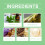 Gecko Repellent for Indoor, Dorm, Household 10
