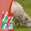 Haltbare & Klare Livestock-Markierungskreide 2
