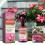3-1-2 Flüssigdünger-Spray für Rosenapfel 2