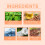 Frauen Parfüm Gardenia Eau de Toilette Spray 10