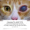 Taurin-Tabletten für Katzen 3