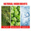Cloud Acne Patch, Invisible Blemish Repair Acne Muscle Reduce Marks 9