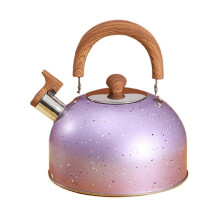 Gas Kettle 2L 3L 4L Stainless Steel Whistle, Thickened Design, Compatible With Gas And Induction Cookers, Purple 3L