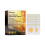 Bee Venom Slimming Patch - Body Shaping, Reduce Swelling 1