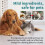 Pet Chewing Spray, Prevent Cat/Dog Scratching 15