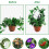Flowers Support for Garden Backyard Patio Plants Rustproof-Bat 4