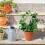 Flowers Support for Garden Backyard Patio Plants Rustproof-Bat 7