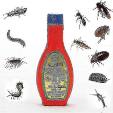 2pcs Insecticide Powder To Kill Fleas And Lice Powder Cockroach Medicine Bed Bug Medicine Cockroach Bait Agent Highly Effective Hk