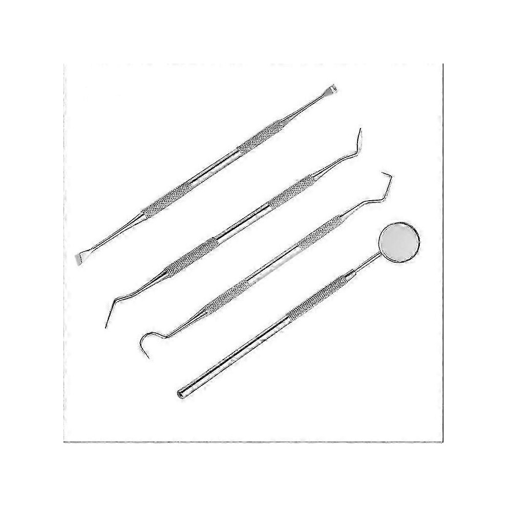 Dental Care Set Of 4,stainless Steel Tartar Remover,dentist Instrument