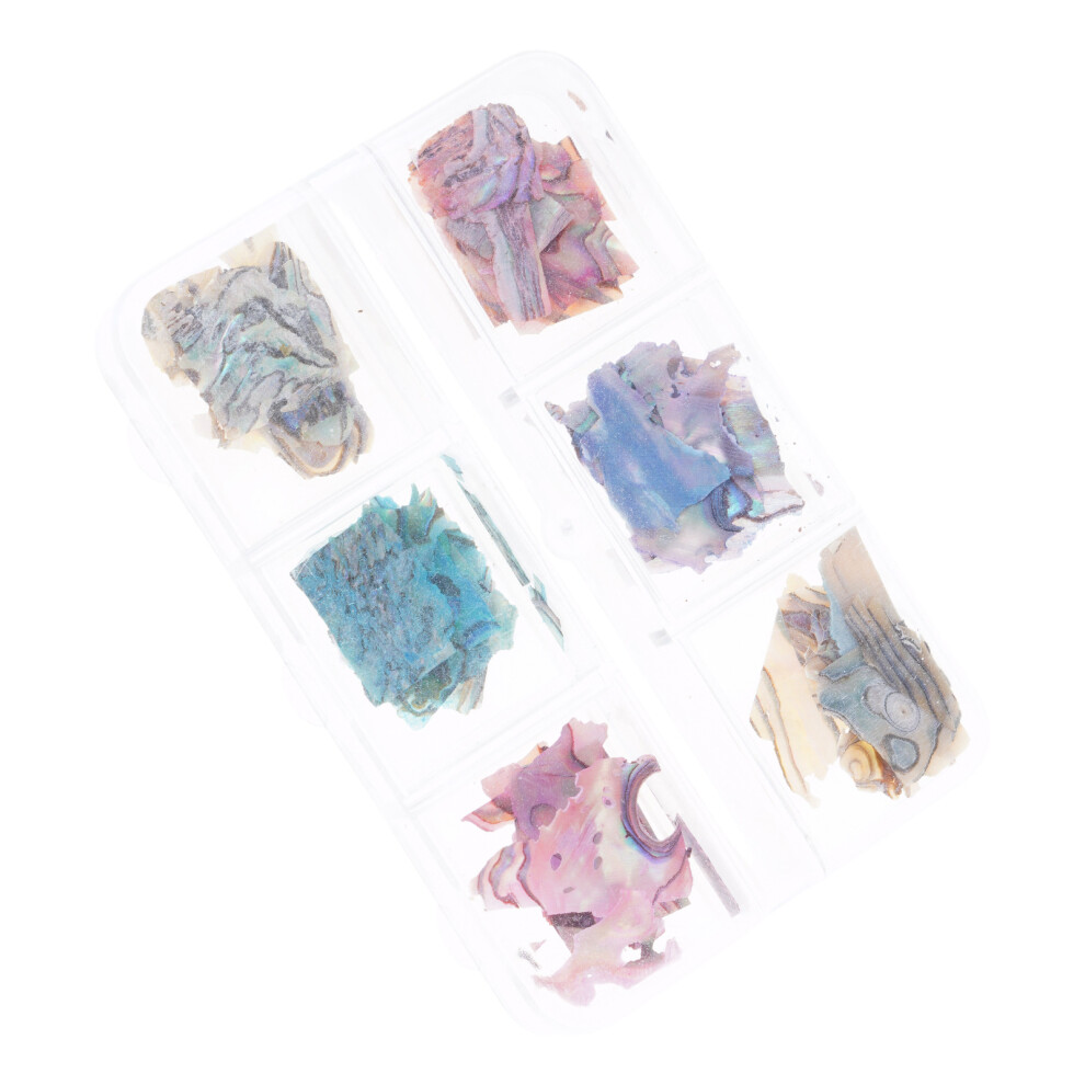 6 Grids Abalone Seashell Slices,Irregular Nail Art Glitter