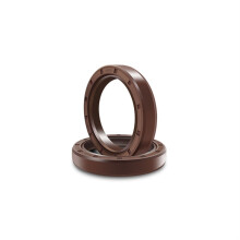 TC Oil Shaft Seal Ring Skeleton Oil Seals, 2 Pieces TC Double Lip Seals with SpringFKM Oil Seal (12X22X5)
