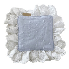 Multipurpose Lace Design Placemat Coaster Portable-Light blue