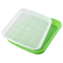 Sprout Tray 33 Cm X 26 Cm X 5 Cm Healthy Propagator For Sprouting Mung Beans, Alfalfa And Grass Seed Sprouter