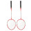 LEIJIAER Badmintonschläger-Set für 2 Spieler, 10
