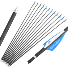 31 Inch Carbon Arrows 1000 Spine for Recurve Bow Compound Bow 6Pcs