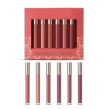 Matte Liquid Lipstick Set Matte Lipstick Lip Stains Long-SET B