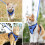 Cat Harness, Adjustable with Leash, for Small Medium Large Cats (Blue, XS) 5