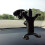 Car Tablet Mount 711 Inch Device For Windshield And Dashboard Bracket Holder Clamp Frame 5