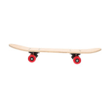 Skateboard for Beginners Painting Kids Sports Skateboard 43 X 13 cm Children's Toy Durable Easy to Carry for Daily Use Artistic Expression