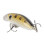 Προηγμένο δόλωμα ψαρέματος Crankbait, ακριβείς ρίψεις, ισορροπημένη κατανομή βάρους 8
