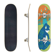 Skateboards Mushroom and Frog Cool Stock Illustrations Classic Concave Skateboard