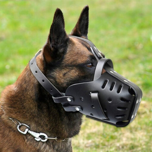 German Shepherd Malinois Muzzle, Leather Mouth Guard for Biting, Adjustable, Black 1