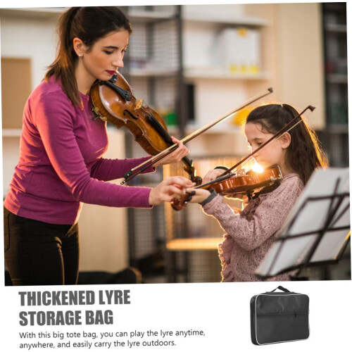 Bag Handheld Polyester Carrying Pouch With Sponge Padding For Instrument Protection 2