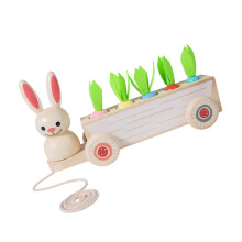 2in1 Wooden Rabbit Pull Toy and Carrot Game for Early Education and Skill Development of Children Who Have Developed Walking Toys Radish