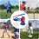 Youth Baseball Training Set  Pitching  Batting Machine for Kids 38 3