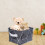 Foldable Function Organizer for Shelf Storage, Easy to Carry Multi-purpose Storage Basket with Handles, Waterproof Layer Collapsible Design Bin for Co 2