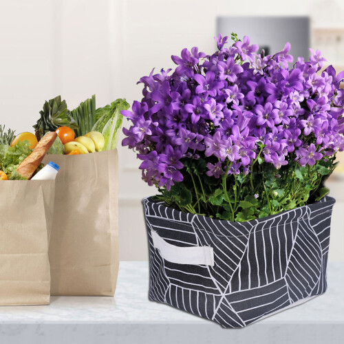 Foldable Function Organizer for Shelf Storage, Easy to Carry Multi-purpose Storage Basket with Handles, Waterproof Layer Collapsible Design Bin for Co 2