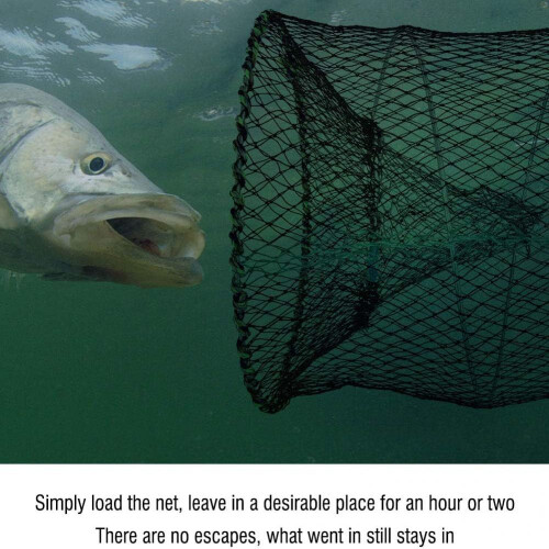 Collapsible Design Fishing Net for Outdoor Use, Versatile Trap for ...