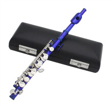 Student Flute Piccolo 16 Holes With E Key, Woodwind Instrument, Half Flute, White Brass, With Leather Case