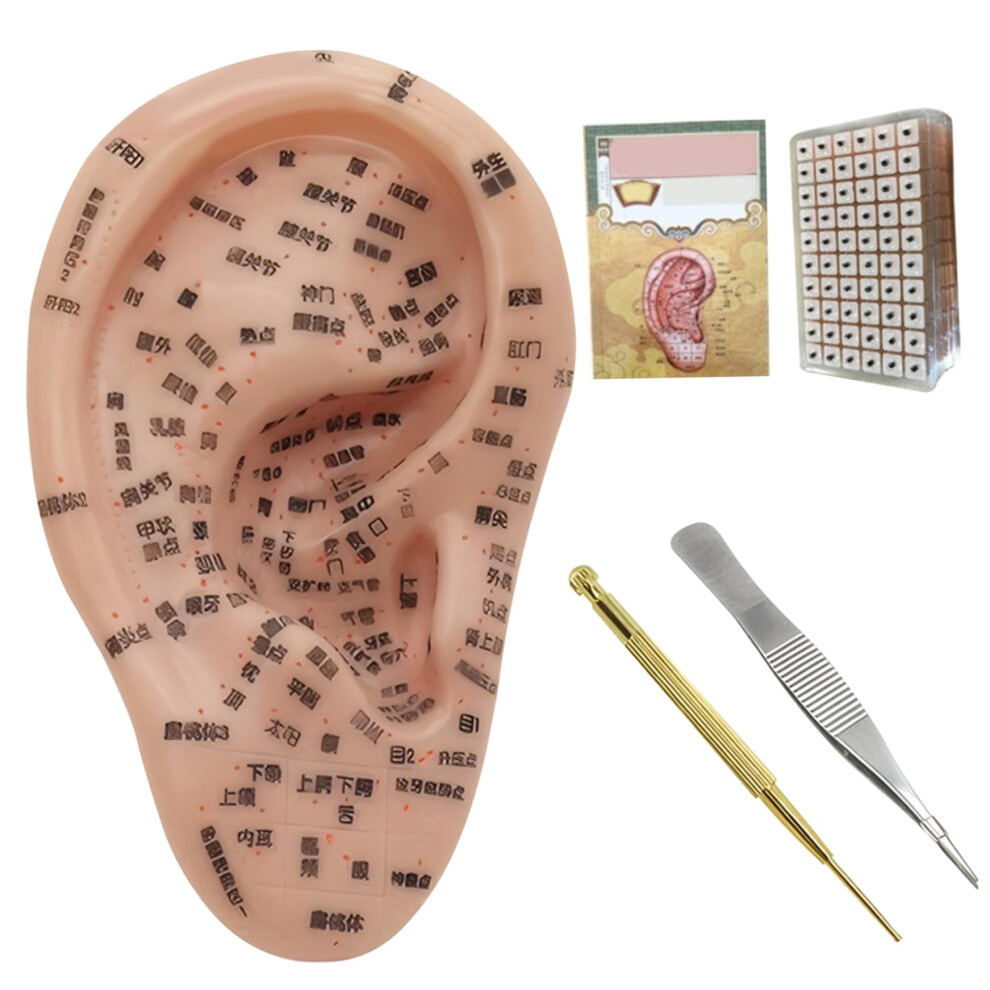 Ear Seeds Acupuncture Kit With Soft Ear Seeds And 7.5 Inch Ear Model Ear Patch Tweezer Probe Pen Ear Book