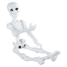 Halloween skelet model speelgoed menselijke anatomie model