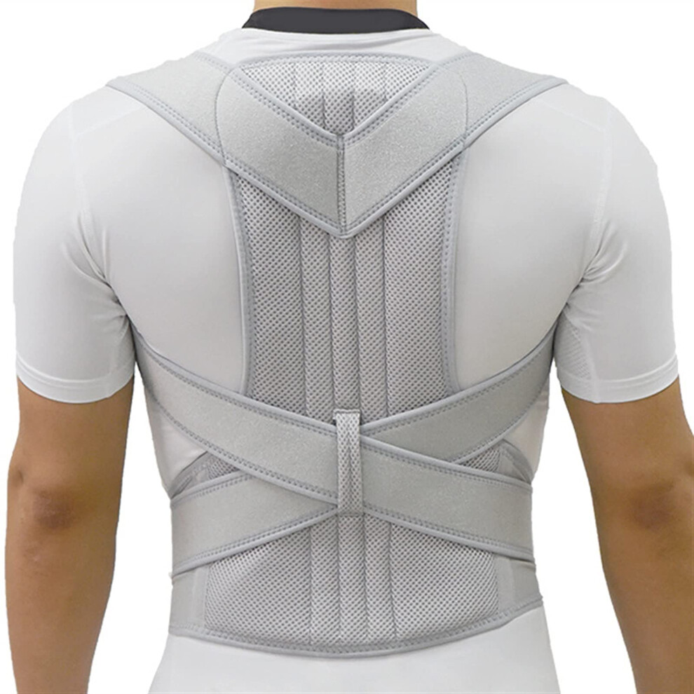 Gray Alloy Bar Posture Corrector Scoliosis Back Brace Spine Corset Shoulder Therapy Support Posture Correction Xxlarge