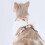 Pet – Durable Dog Leash with Adjustable Nylon Strap, Soft Pull Rope, Outdoor Control, Training Accessory OrangeM 4