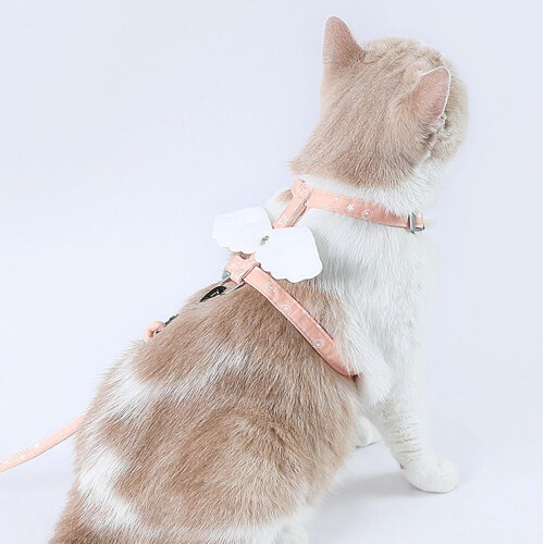 Pet – Durable Dog Leash with Adjustable Nylon Strap, Soft Pull Rope, Outdoor Control, Training Accessory OrangeM 2