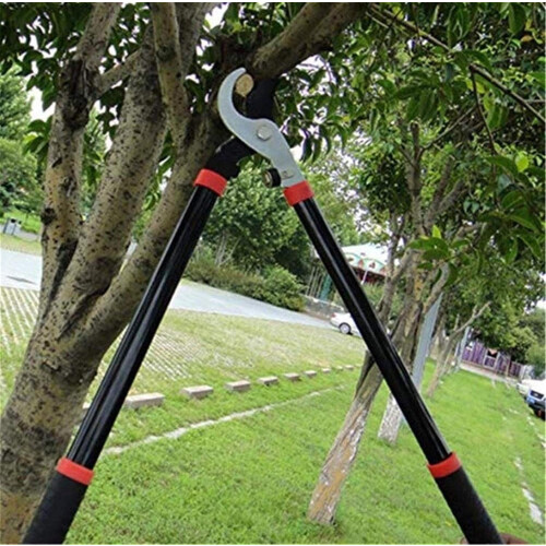 Garden shears, garden shears, longhandled pruning shears, pruning shears. 1