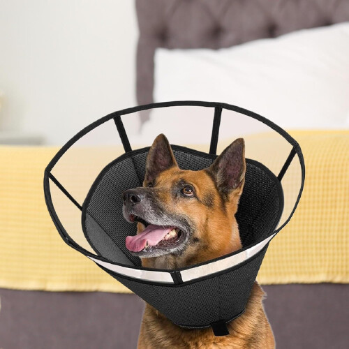 Lightweight Dog  Cone, Adjustable Soft Collar, Breathable Shield for Small Dogs 2