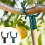 Professional Garden Branch Support Clips For Securing-Green 2